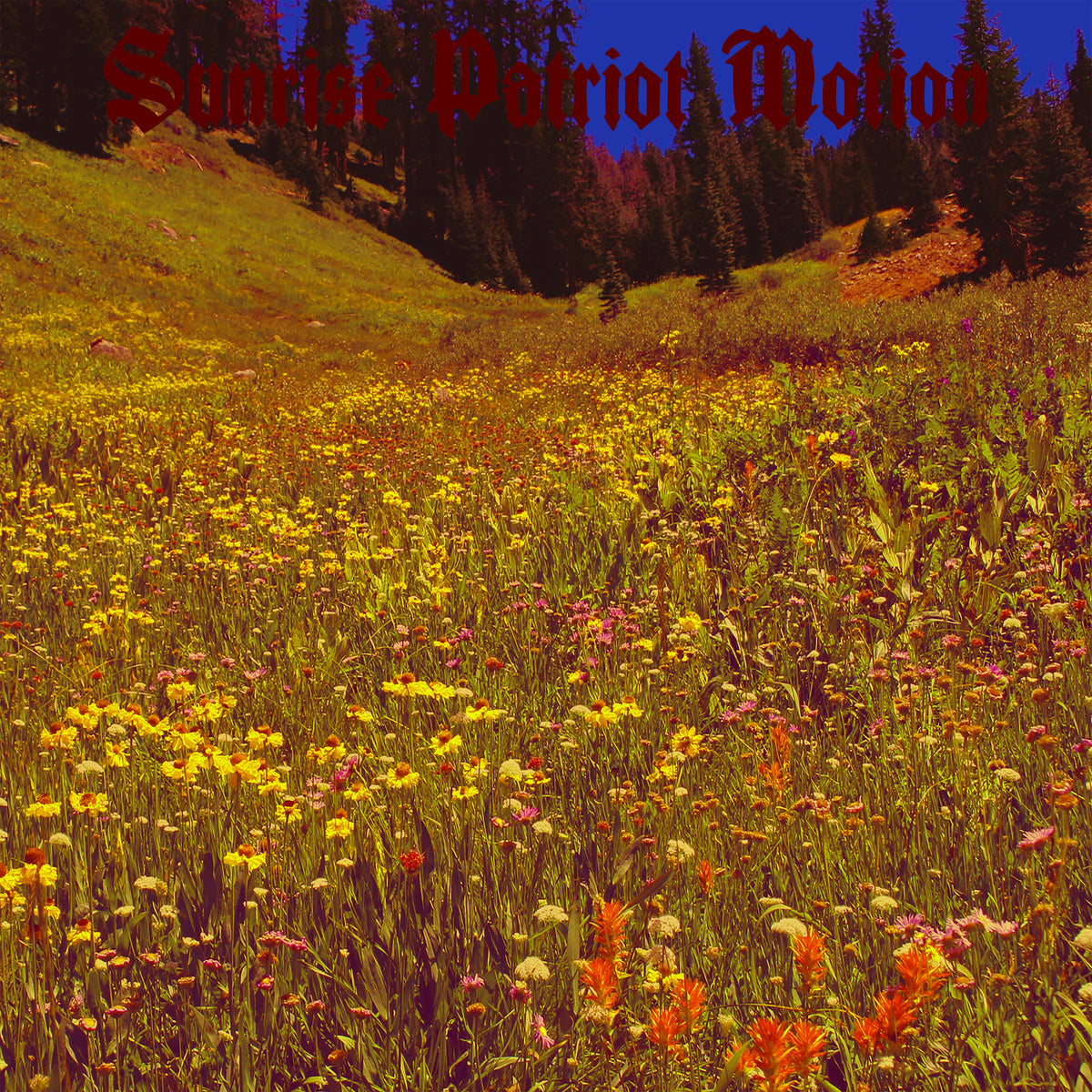 Sunrise Patriot Motion - Black Fellflower Stream LP – Gilead Media