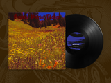 Sunrise Patriot Motion - Black Fellflower Stream LP