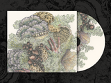 Pyrithe - Monuments to Impermanence CD