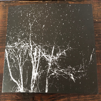 Silver Godling - Rain When I Die 7-inch