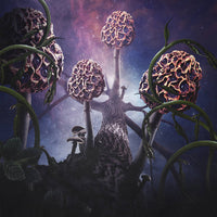 Blut Aus Nord - Hallucinogen 2LP (blue/purple)