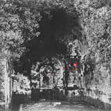 Yellow Eyes - Rare Field Ceiling LP (2nd Pressing)